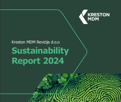sustainibility report 2024